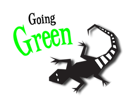 Swamp Camp Going Green