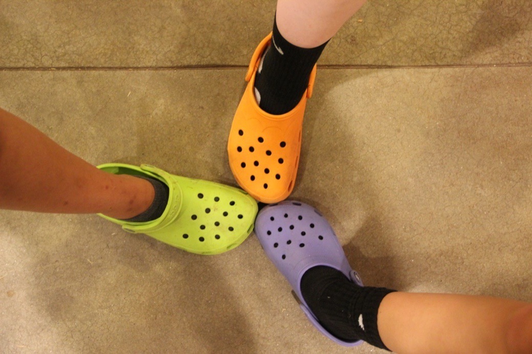 Swamp Camp Crocs